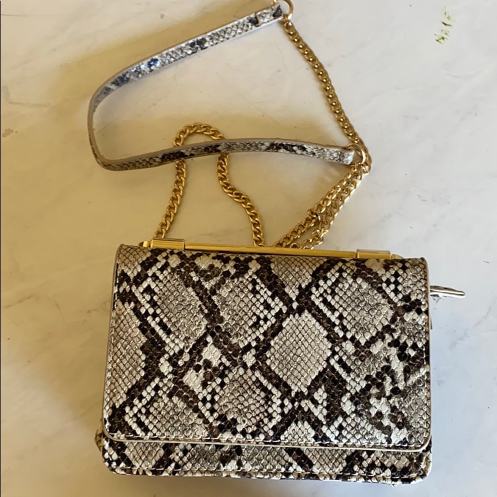 Faux snake skin purse! With chain!